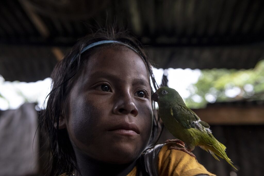 Alianza Ceibo recebe Prêmio Gulbenkian por proteção da Amazônia