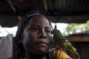 Alianza Ceibo recebe Prêmio Gulbenkian por proteção da Amazônia