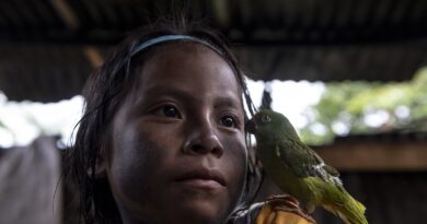 Alianza Ceibo recebe Prêmio Gulbenkian por proteção da Amazônia