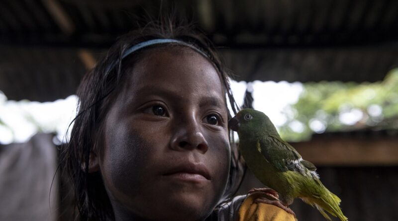 Alianza Ceibo recebe Prêmio Gulbenkian por proteção da Amazônia