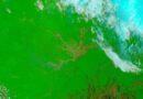 In the state of Acre in western Brazil, farms and pastures are surrounded by large, undisturbed areas of Amazon Rainforest. Since January 2005, many a