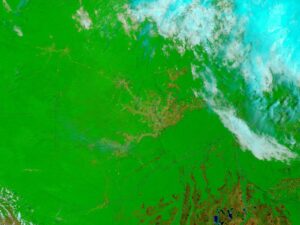 In the state of Acre in western Brazil, farms and pastures are surrounded by large, undisturbed areas of Amazon Rainforest. Since January 2005, many a