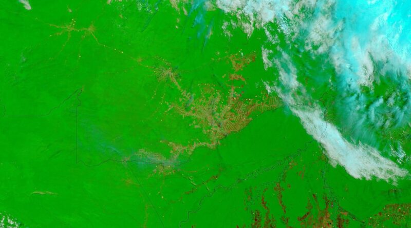 In the state of Acre in western Brazil, farms and pastures are surrounded by large, undisturbed areas of Amazon Rainforest. Since January 2005, many a