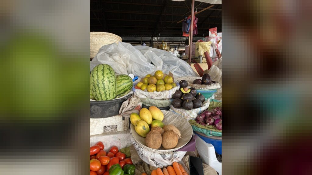 Concursos do maior cacho e do coco com mais água estão previstos para sábado.