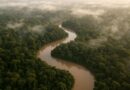 Qual país tem a maior biodiversidade do mundo? Entenda