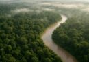Qual a porcentagem do Brasil coberta pelo bioma amazônico?