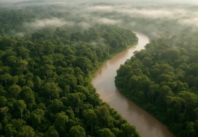 Qual a porcentagem do Brasil coberta pelo bioma amazônico?