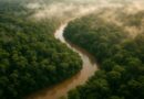 Qual é o bioma da Amazônia? Características, clima e o Acre